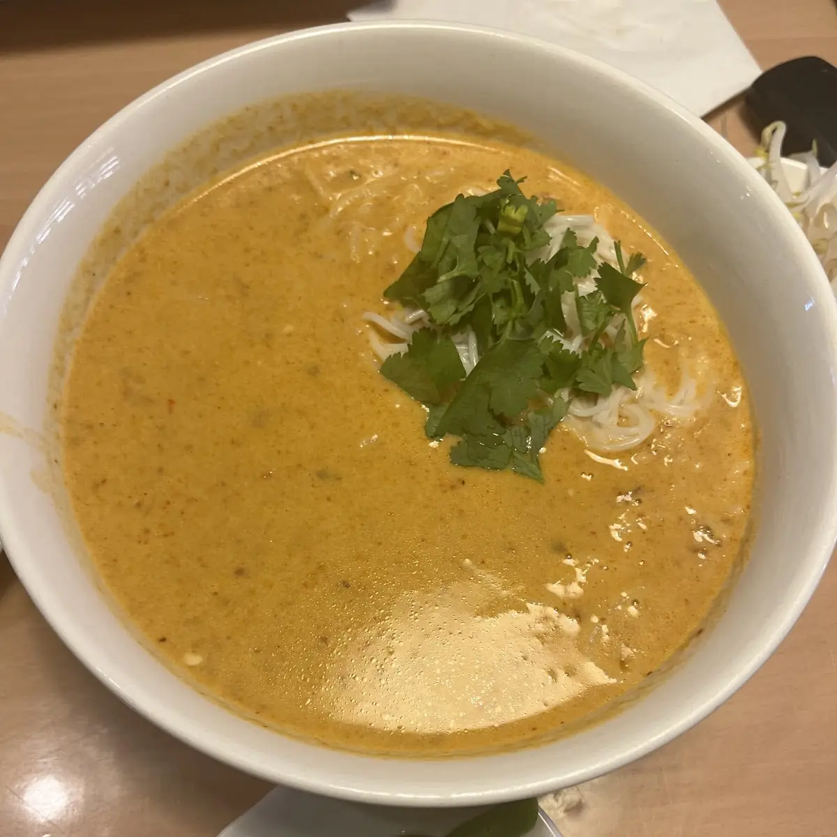 Northern Chicken Curry Noodle Soup