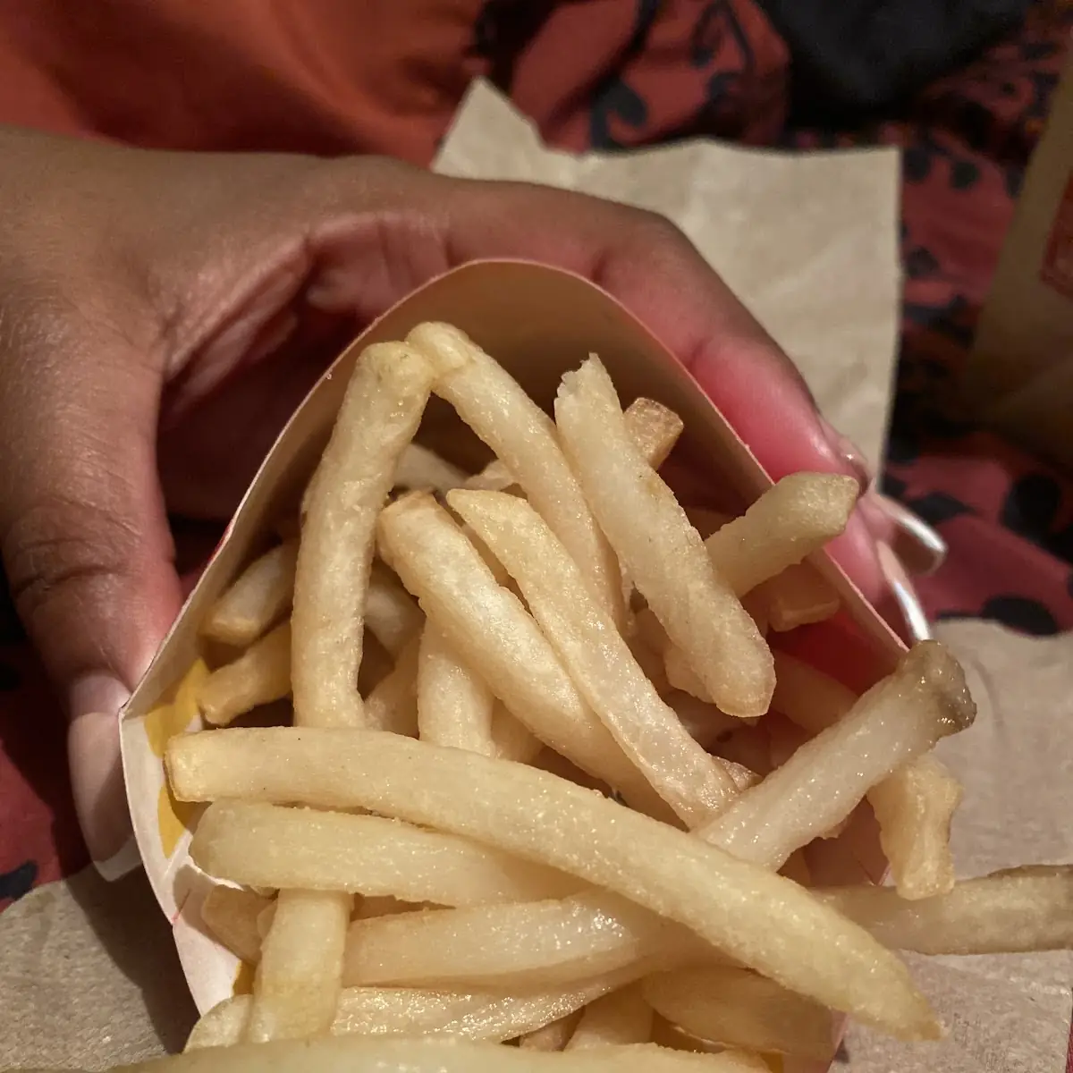 World Famous Fries