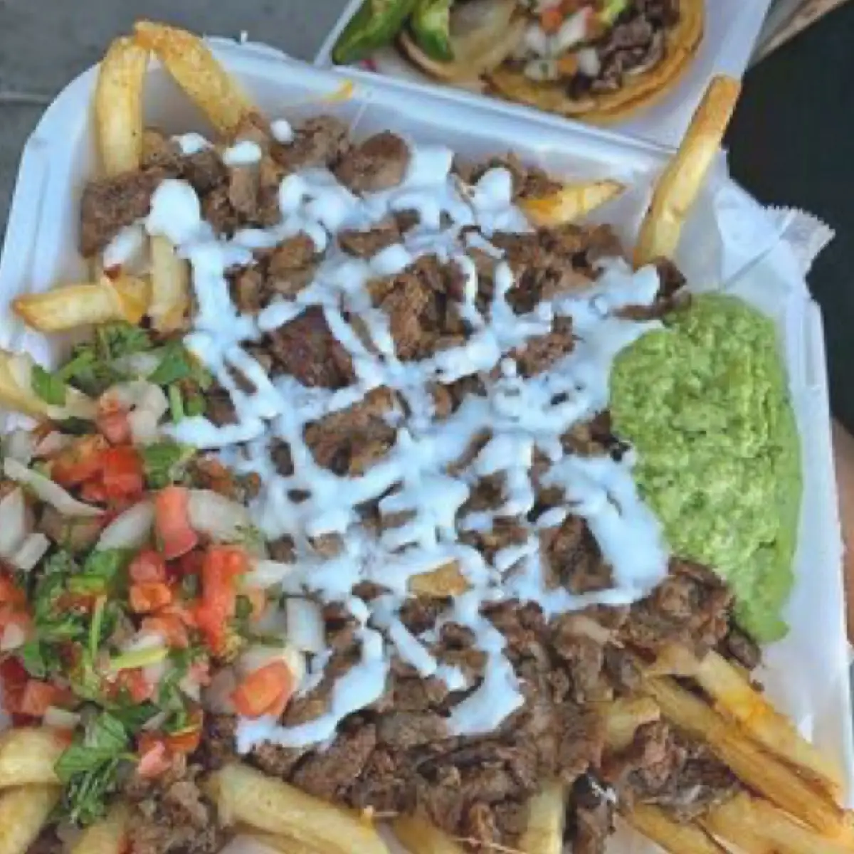 Carne Asada Fries