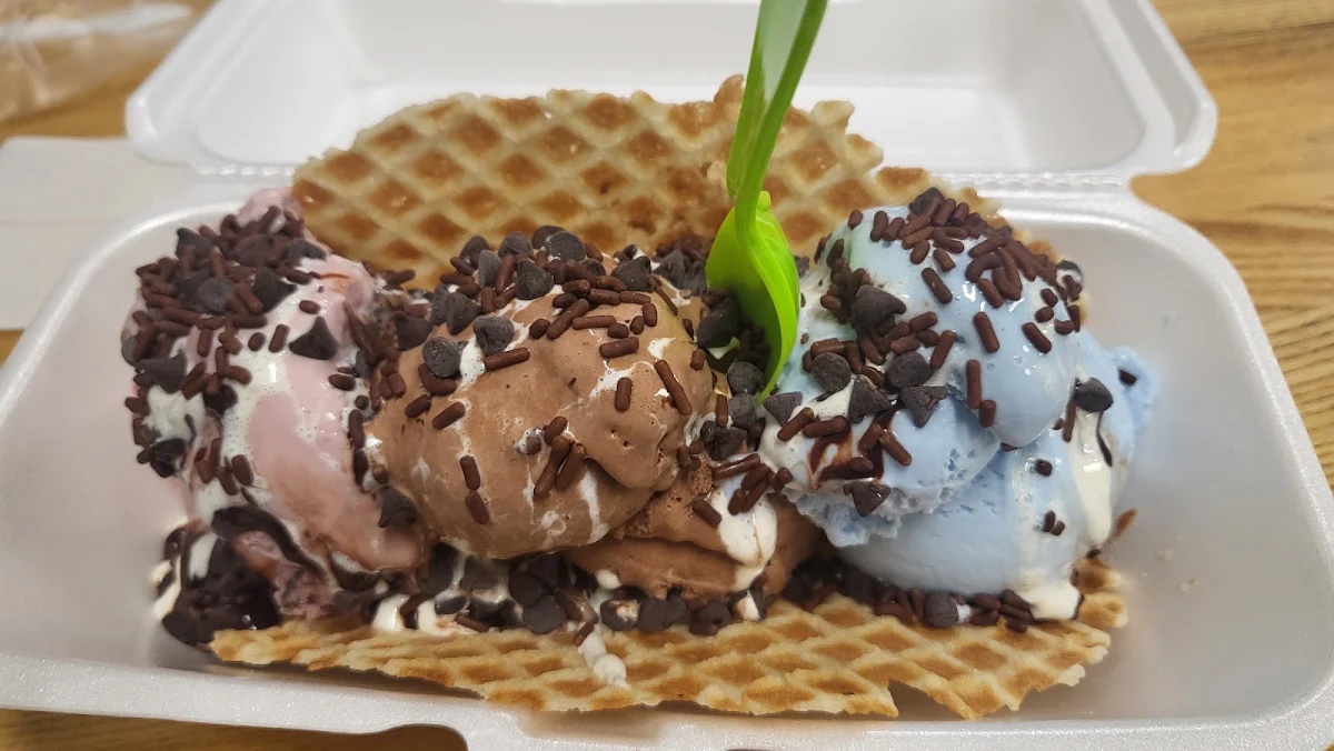 Black Raspberry Chocolate Chip