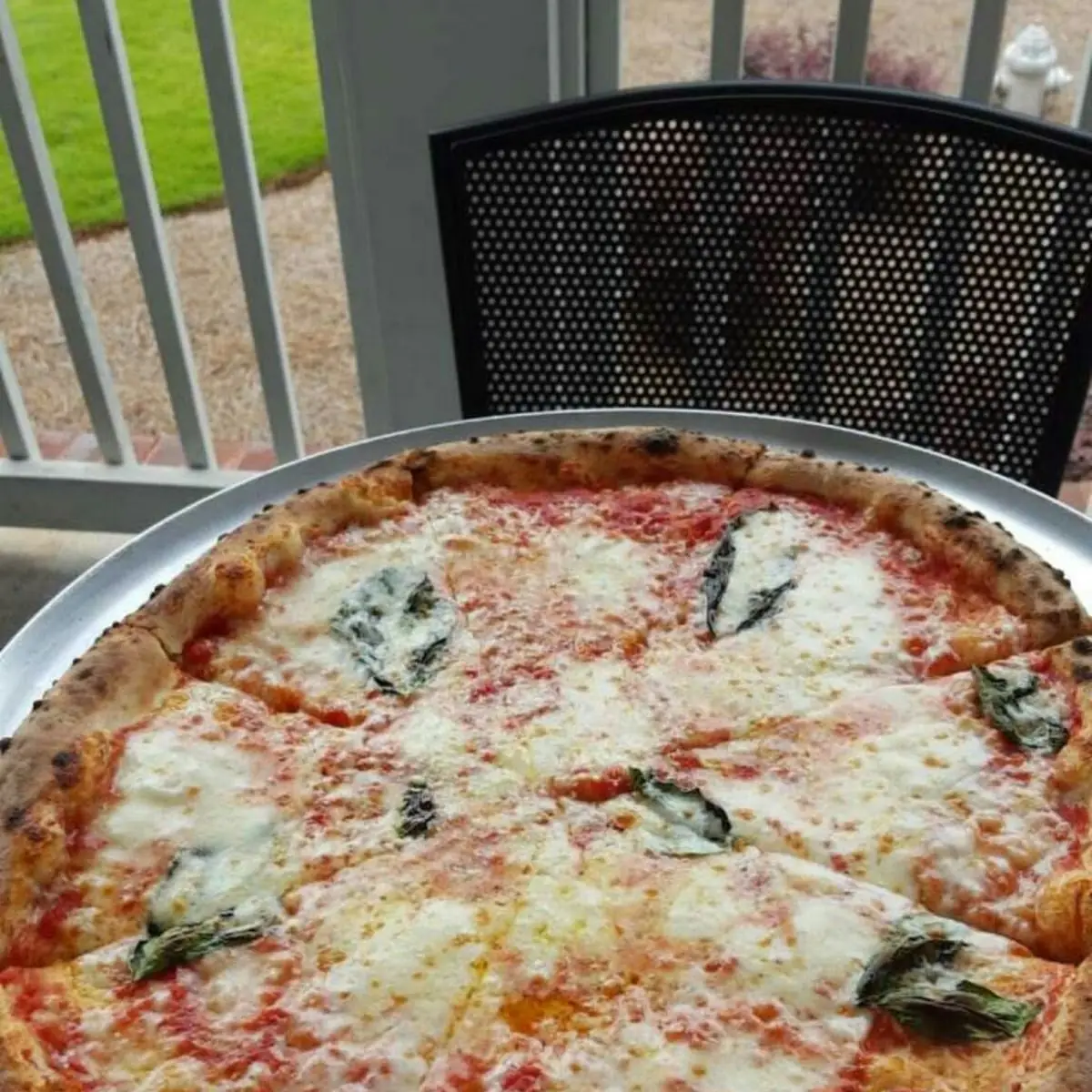 Margherita Pizza