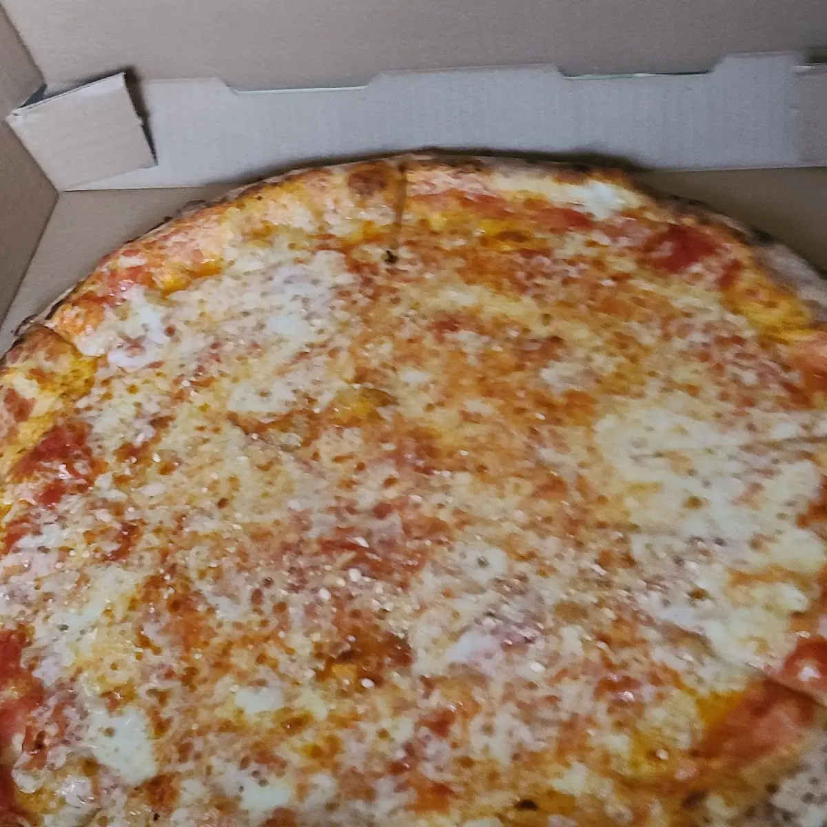 Plain Cheese Pizza