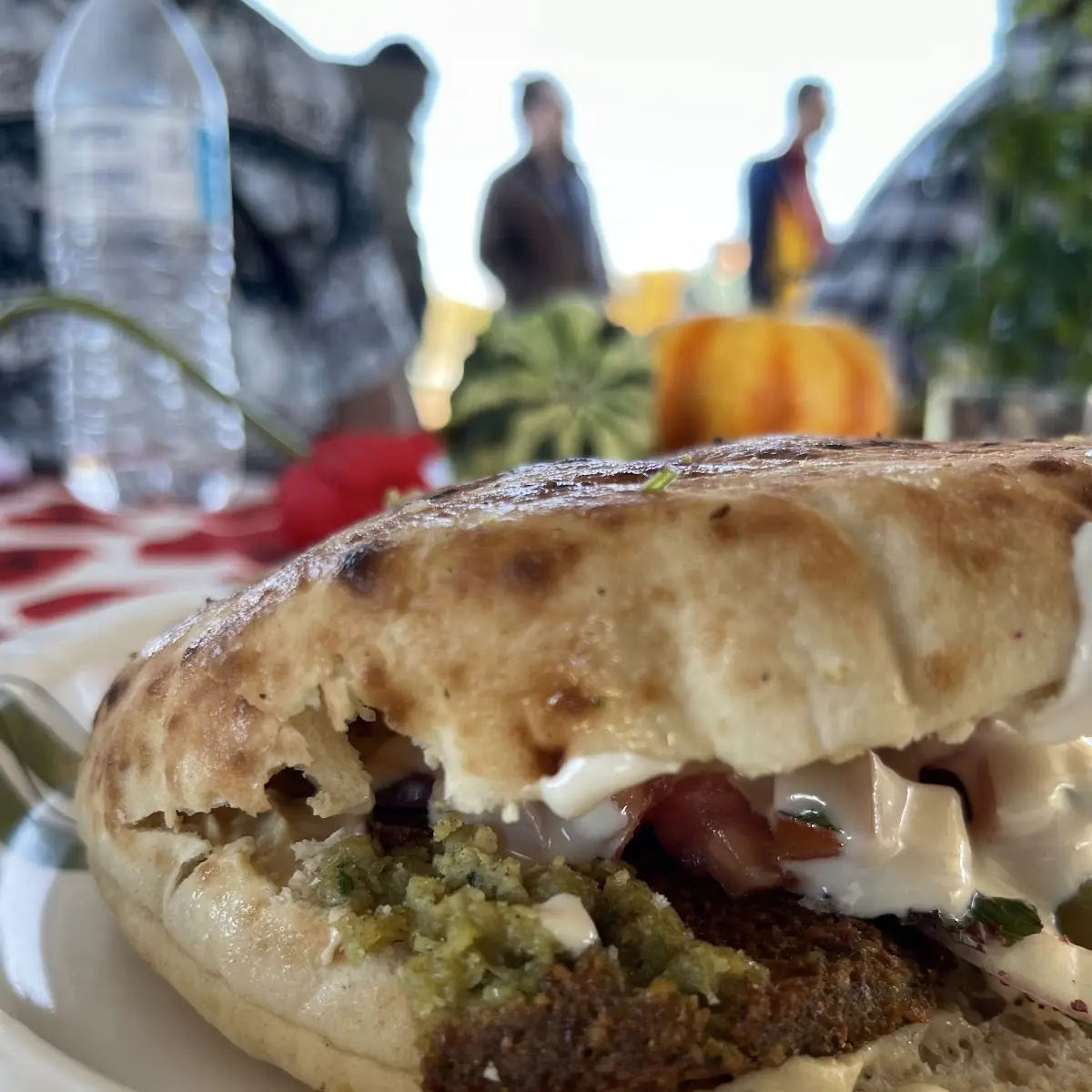 Falafel Sandwich
