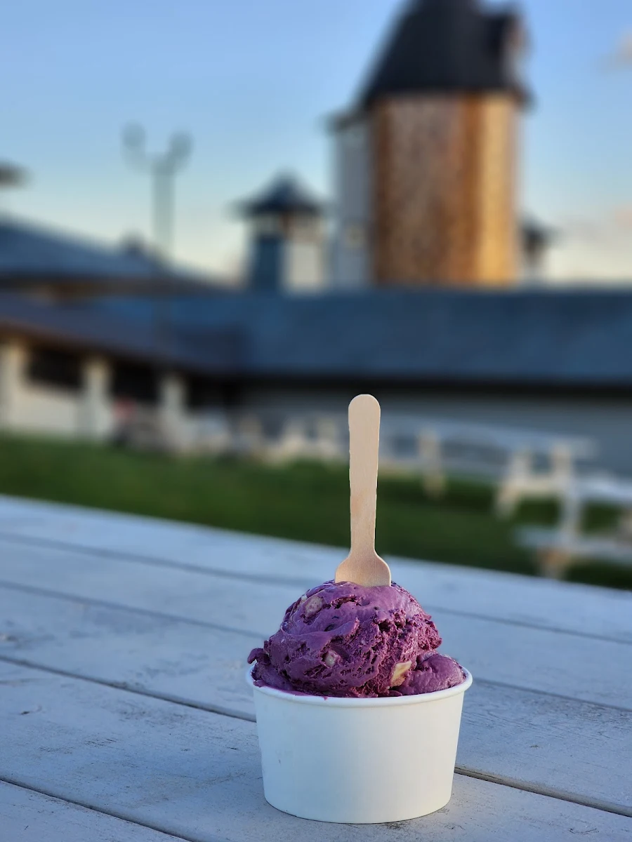 Black Cherry Chocolate Chunk Ice Cream