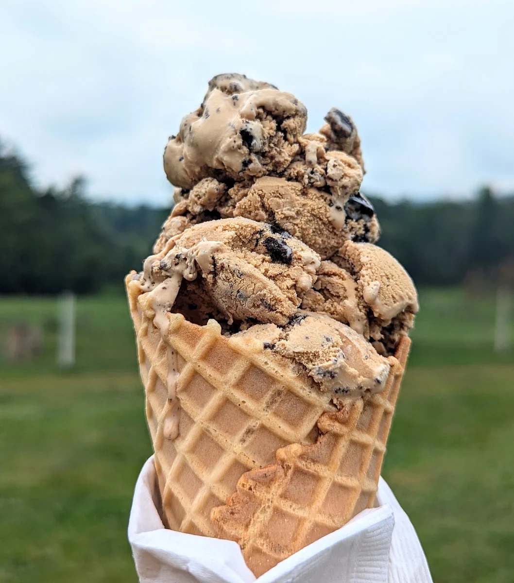 Coffee Oreo Cookie