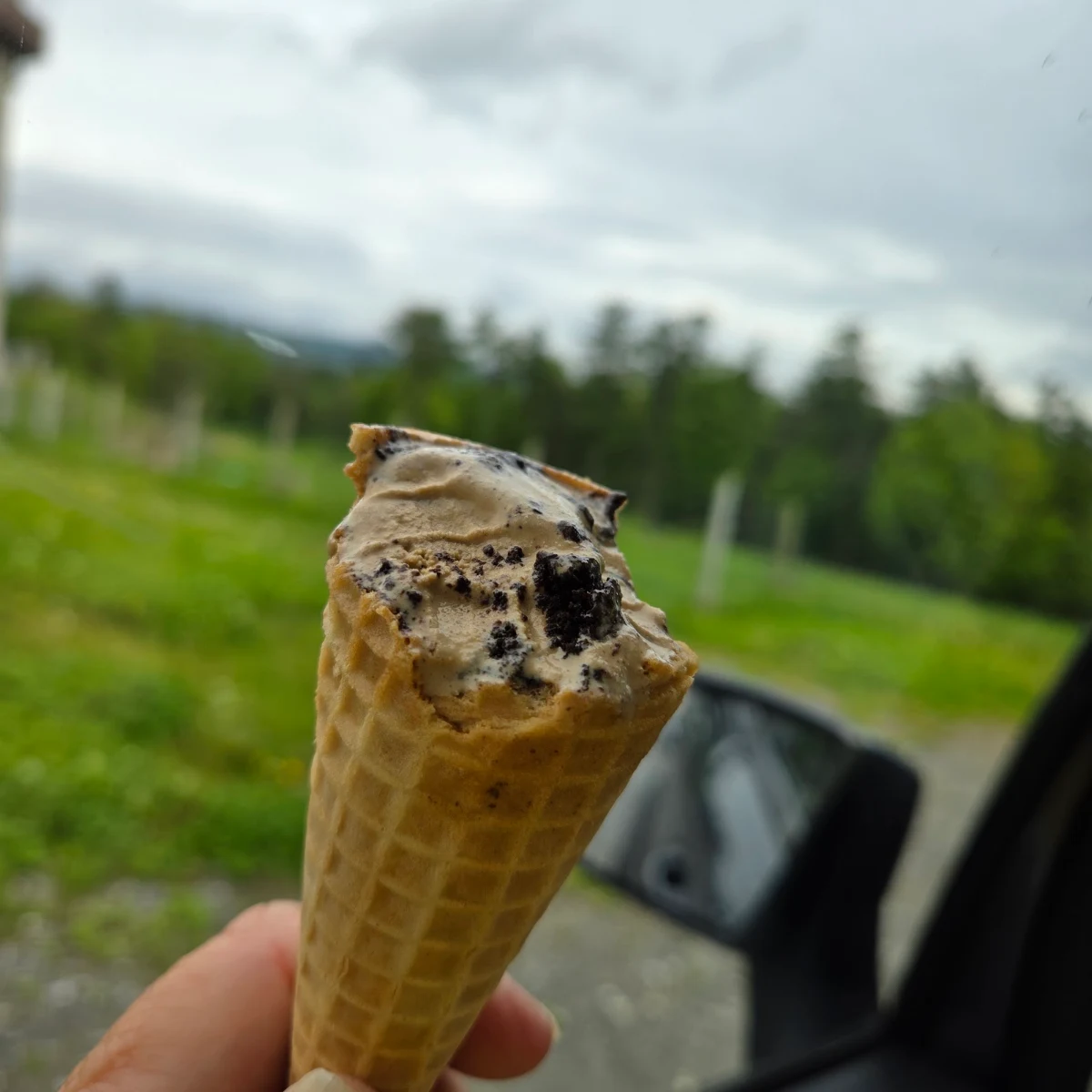 Coffee Oreo on Sugar Cone