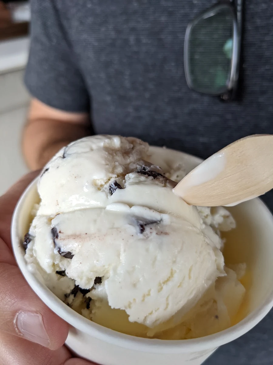 Mint Chocolate Chip
