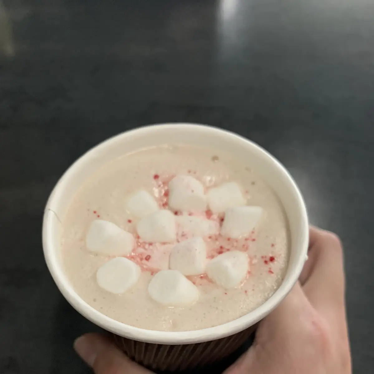 Peppermint Hot Chocolate