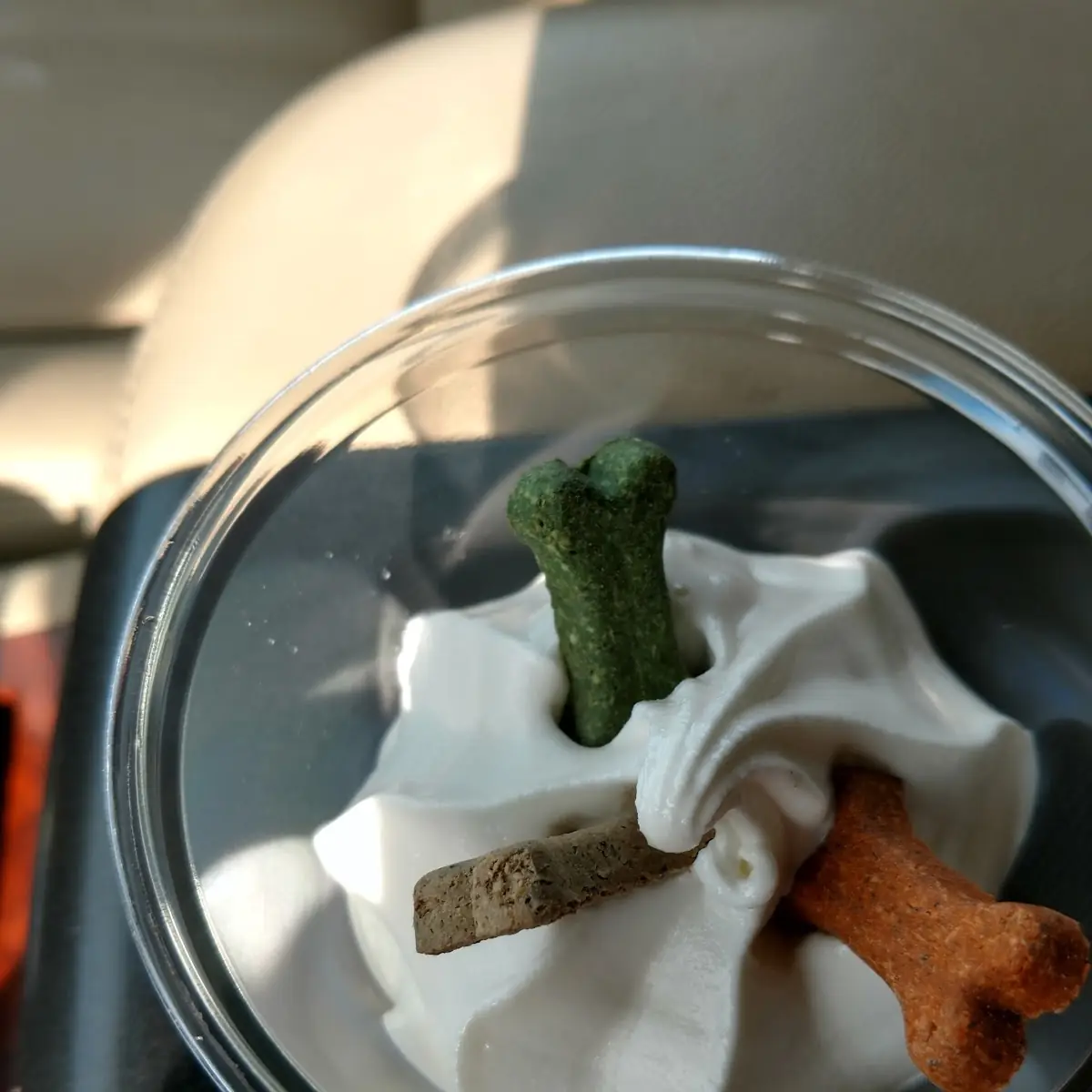An Pup Cup Ice Cream