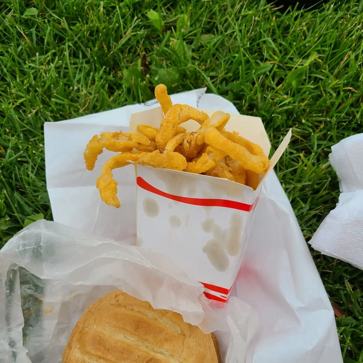 Beef Sandwich N