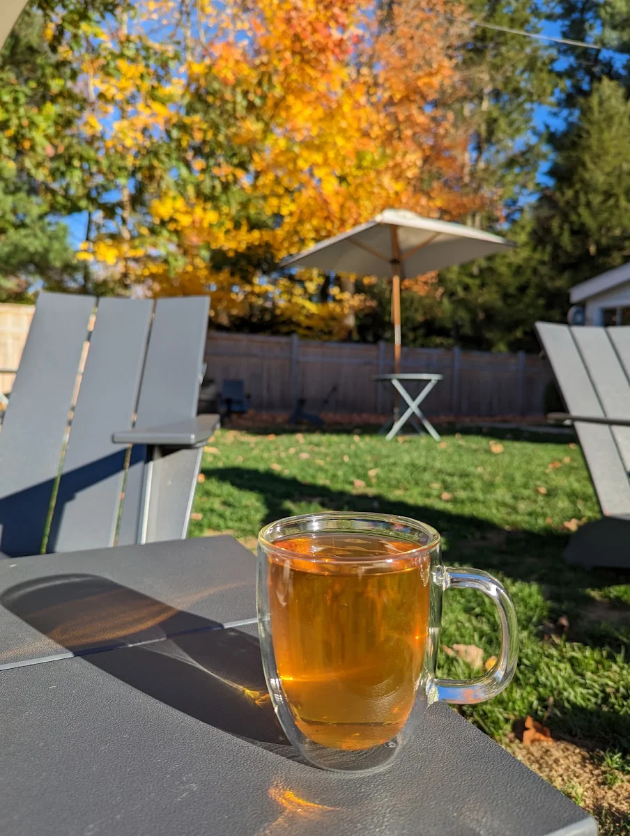 Jasmine Green Tea