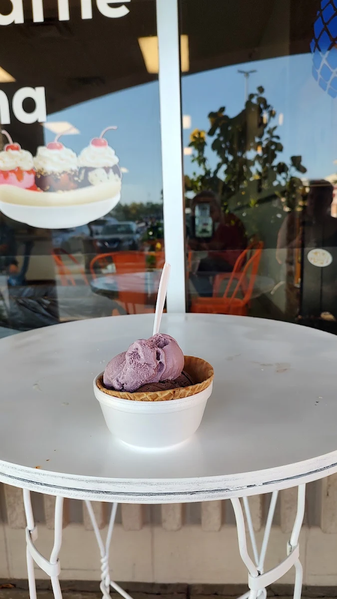 Black Raspberry & Chocolate Peanut Butter