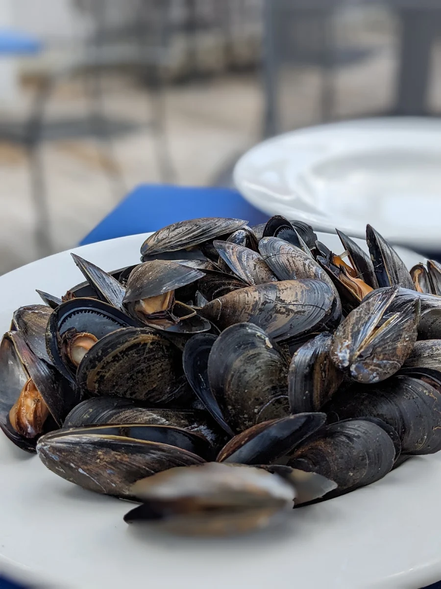 Pei Mussels, Lily's