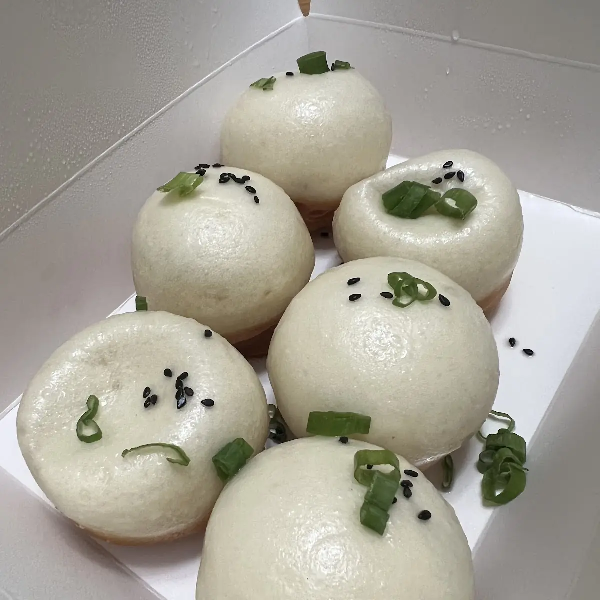 Pan Fried Pork Buns