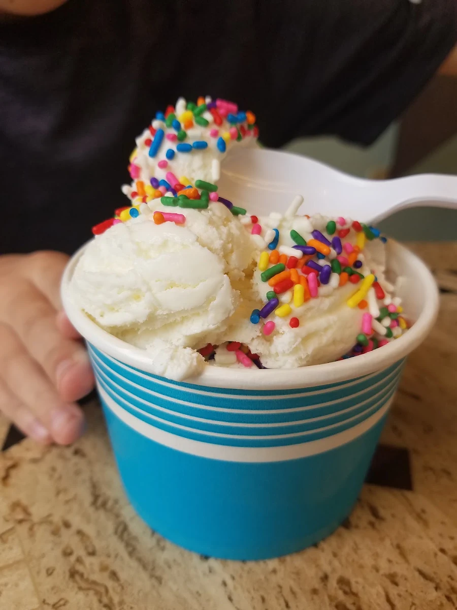 Vanilla Ice Cream with Sprinkles