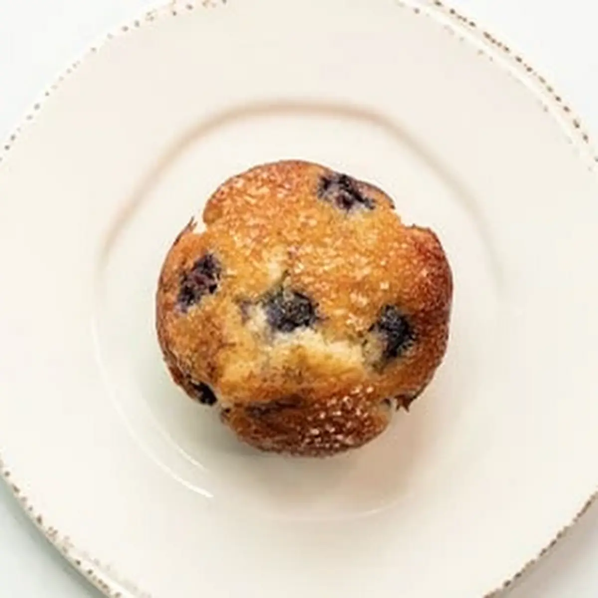 Blueberry Muffin