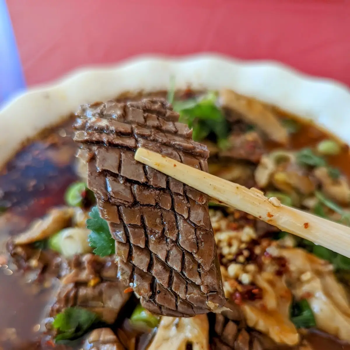 Braised Spicy Beef Hot Pot