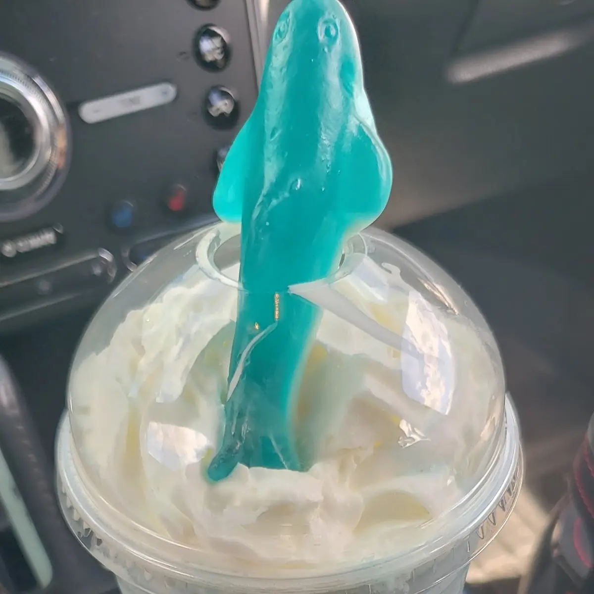 Shark Bite