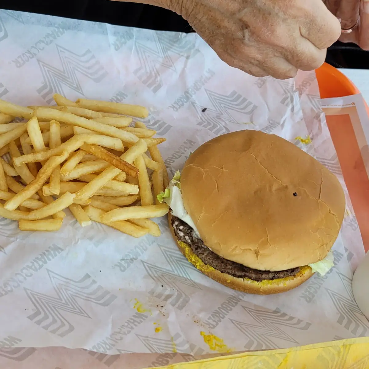 Bacon Cheeseburger & Fries
