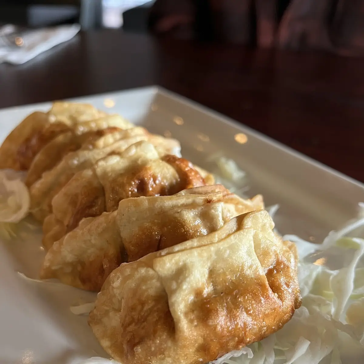 Fried Chicken Dumpling 6 - Popular