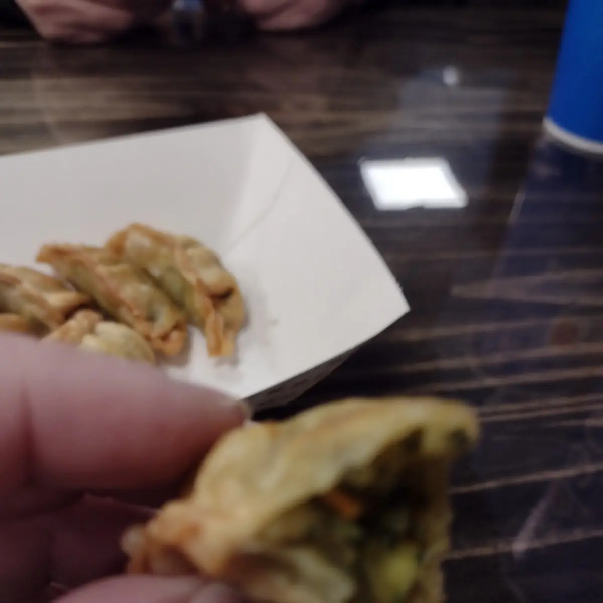 Vegetable Gyoza