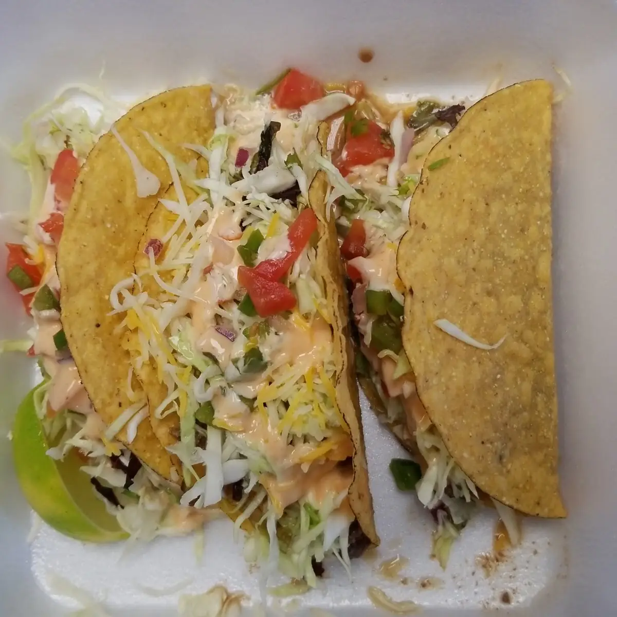 Bulgogi Tacos