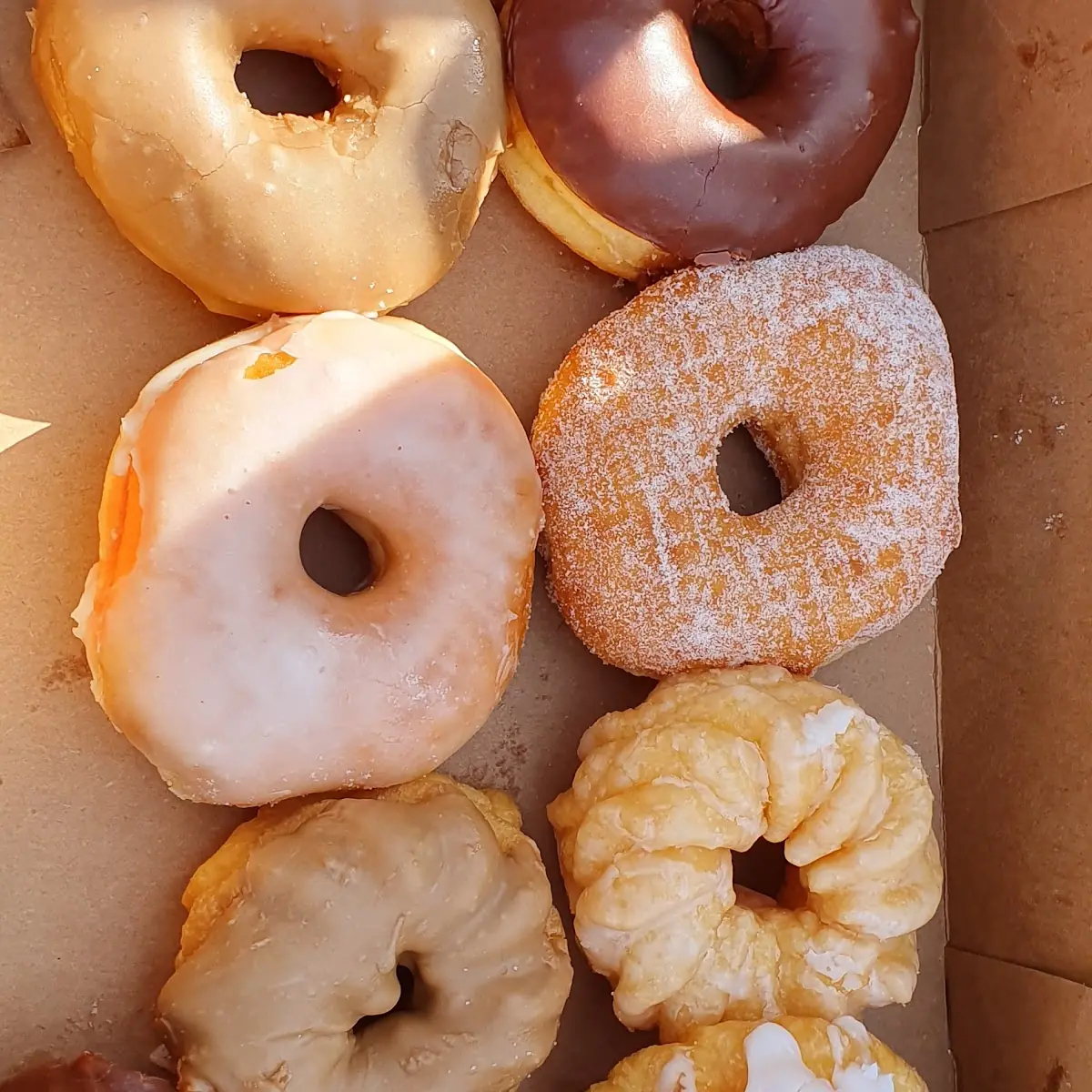 Doughnut