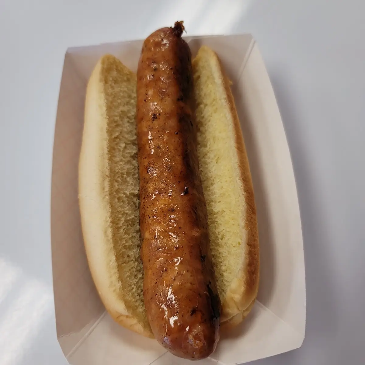 Alligator Hot Dog