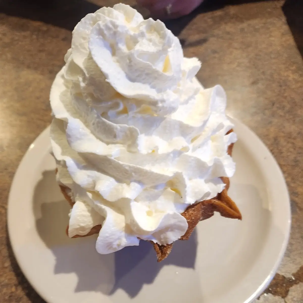 Fried Ice Cream