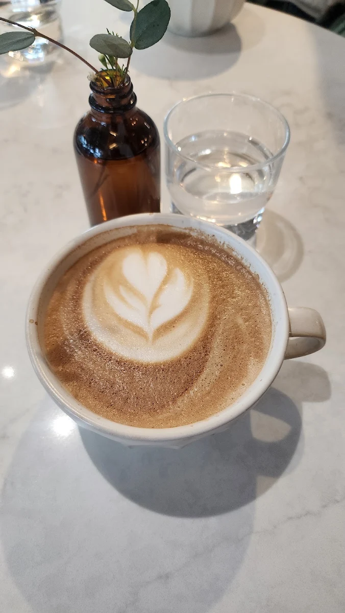 Latte, Little Beetle