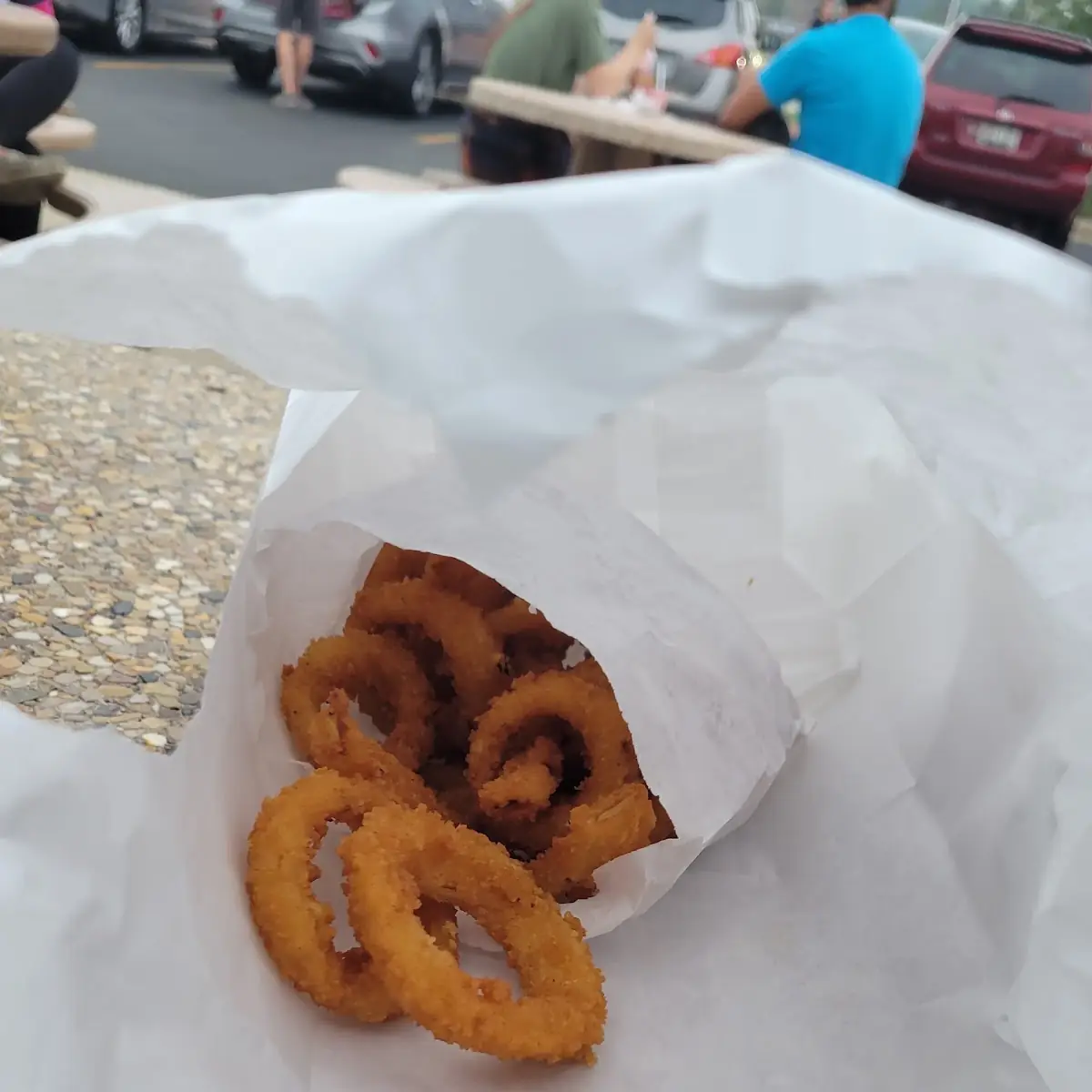 Onion Rings and Fries