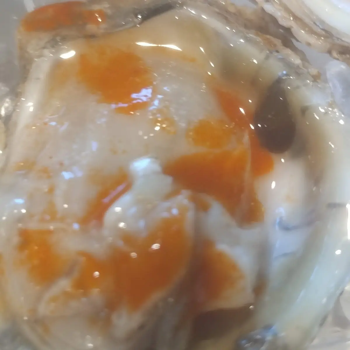 Dozen Oysters
