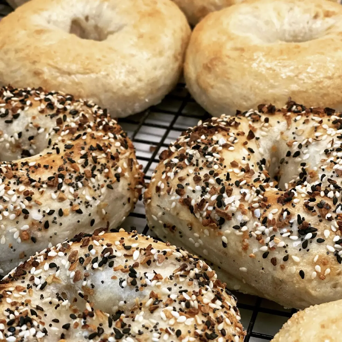 Bagel