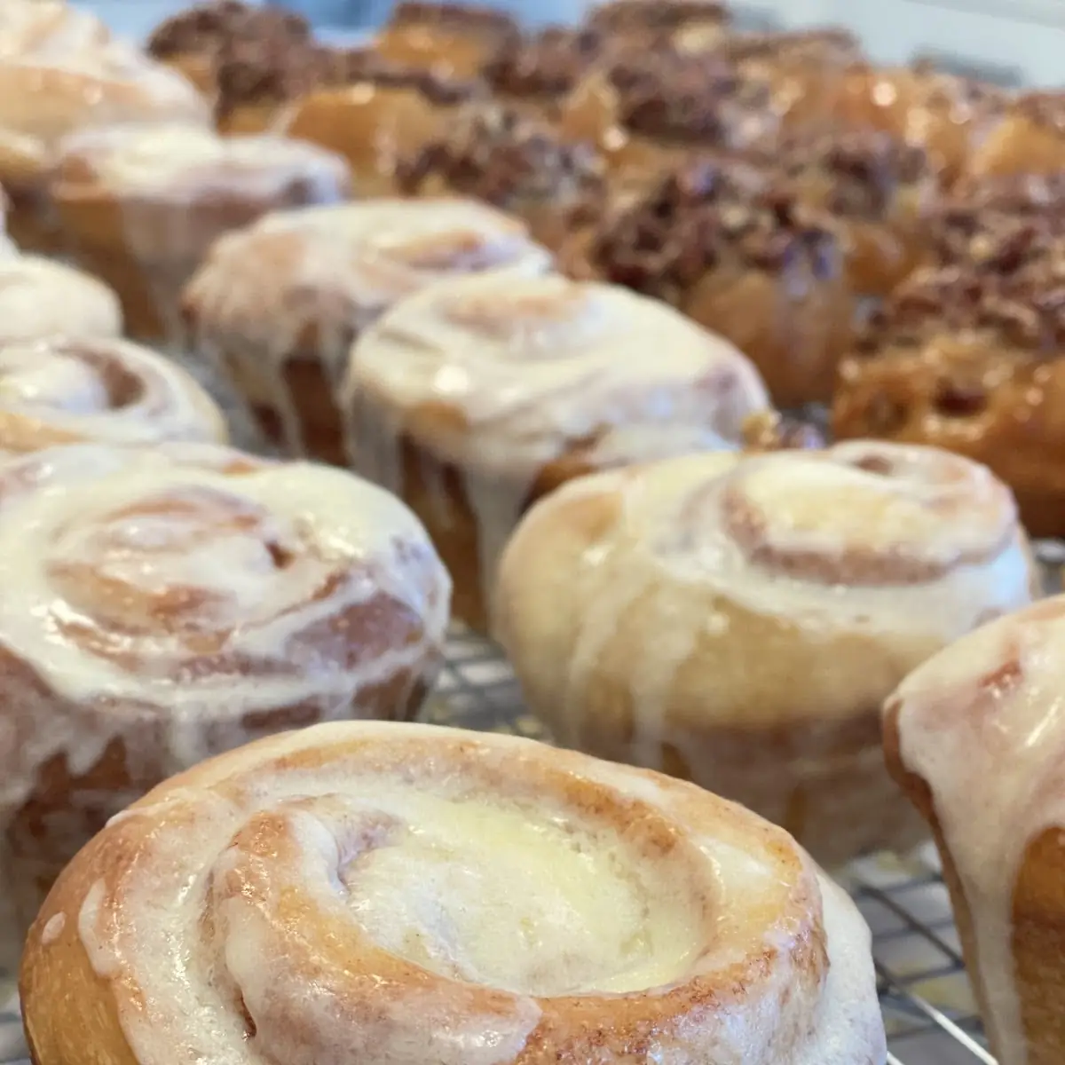 Cinnamon Roll