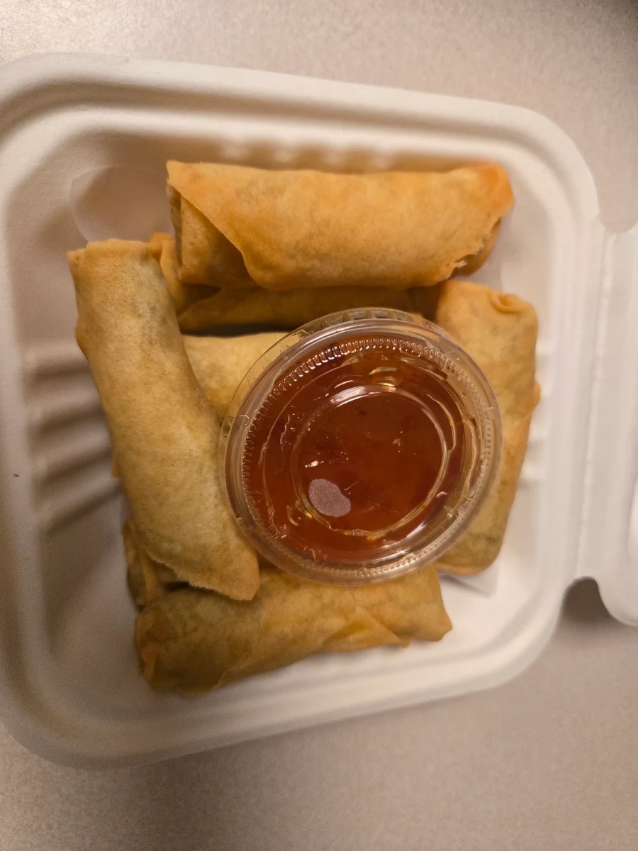 Vegetable Spring Rolls