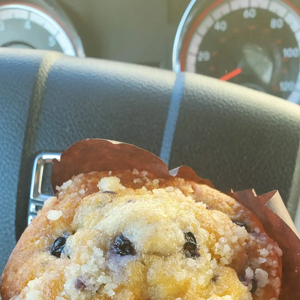 Mccafé Blueberry Muffin