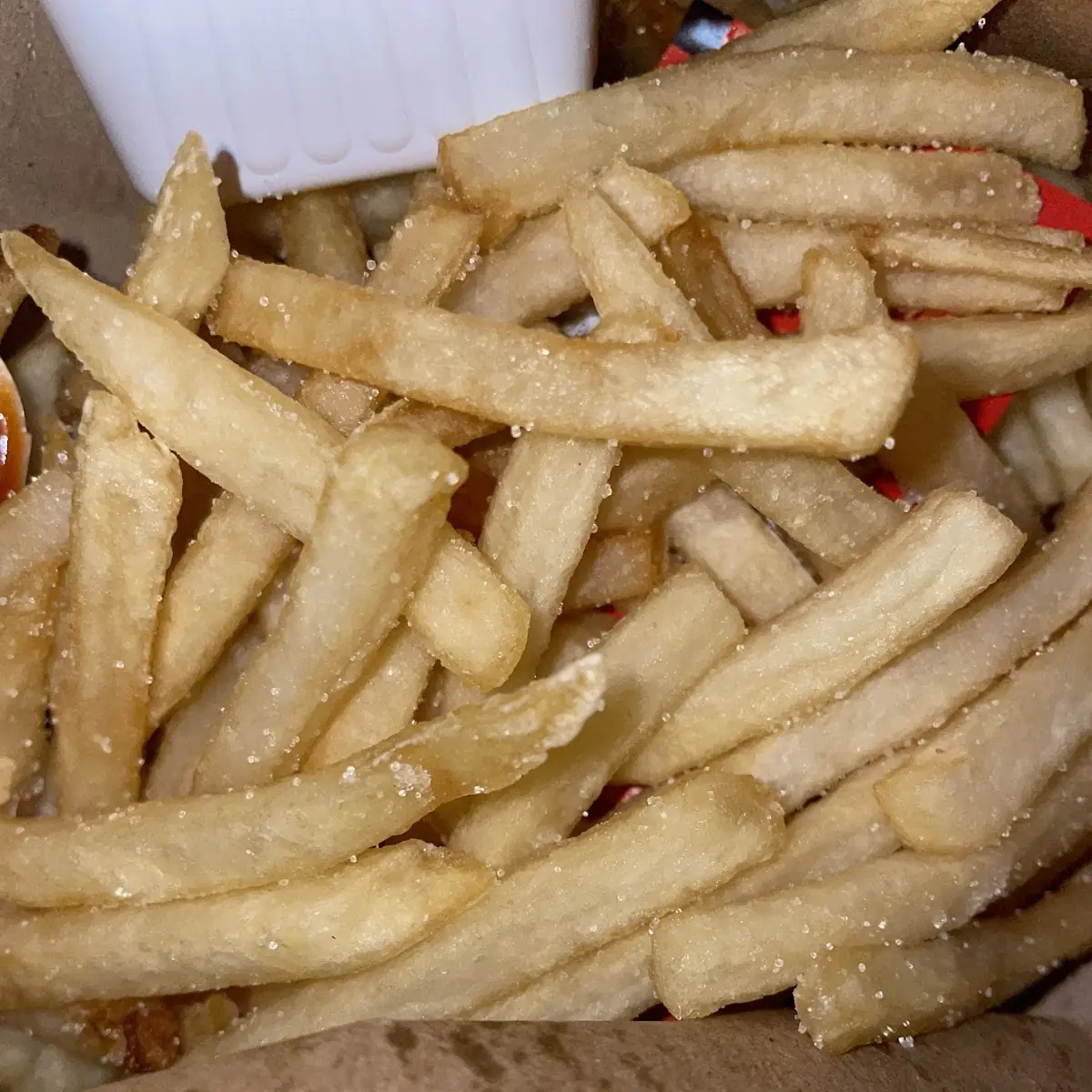World Famous Fries
