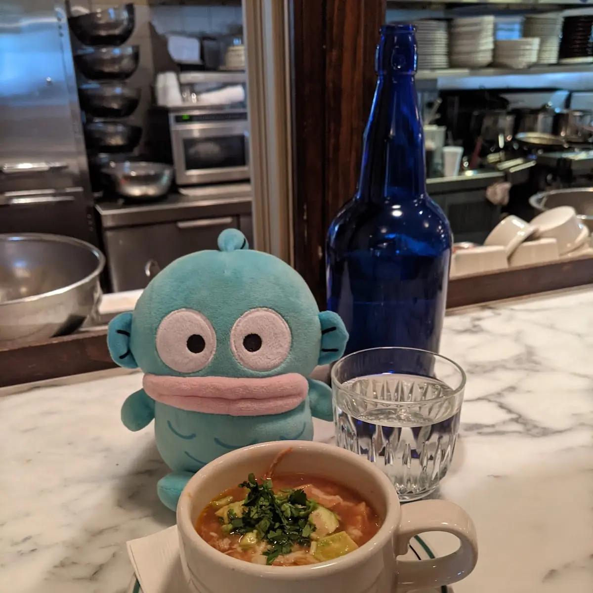 Chicken Tortilla Soup