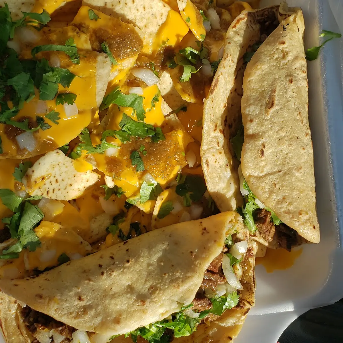 Two Carne Asada Tacos and Nachos