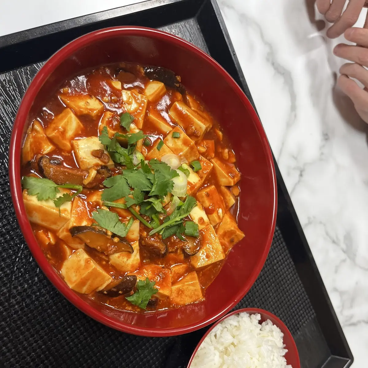 E9. Mapo Tofu (Pork)