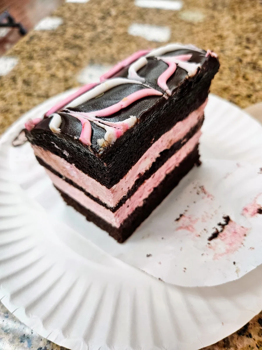 Raspberry Chocolate Cake Slice