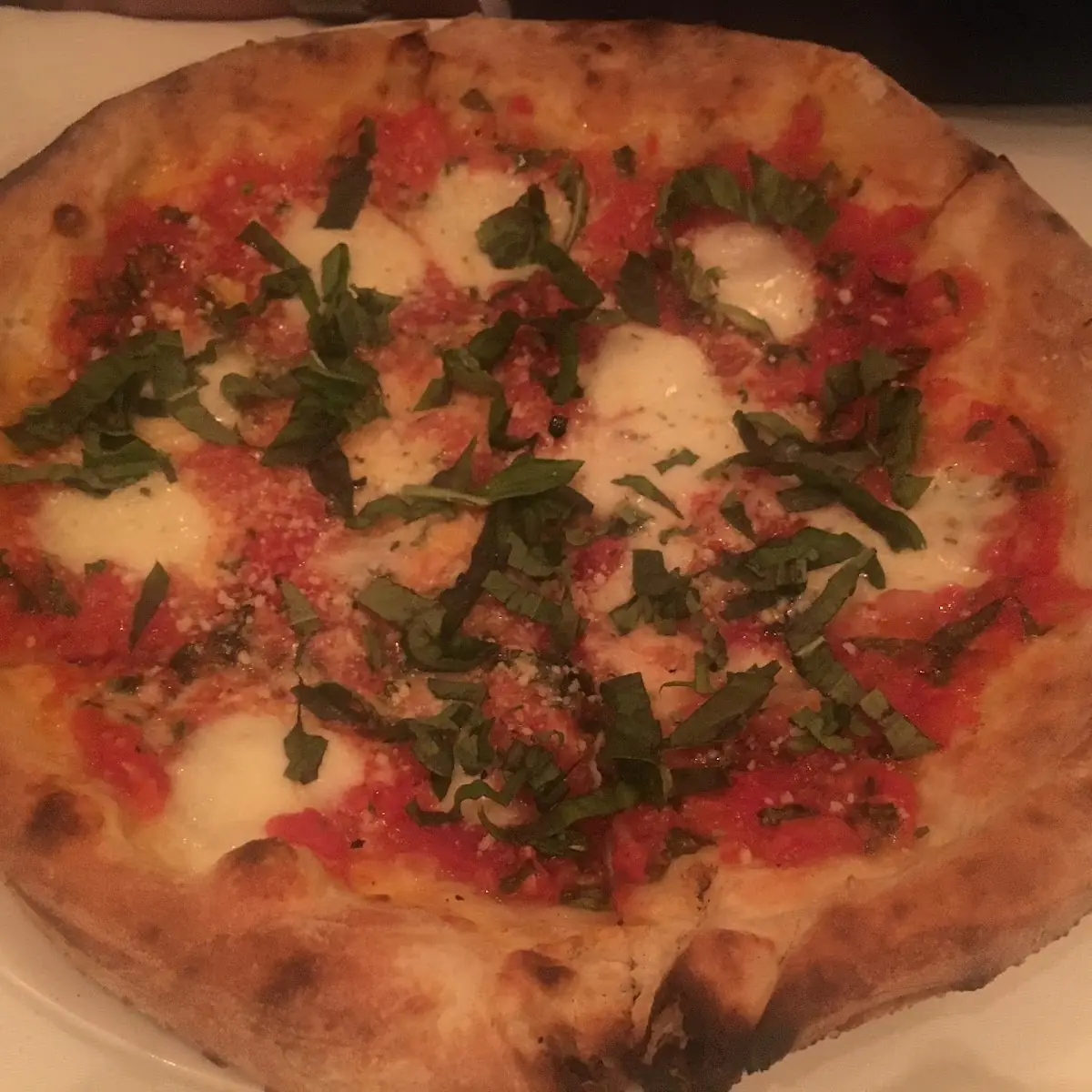Margarita Pizza