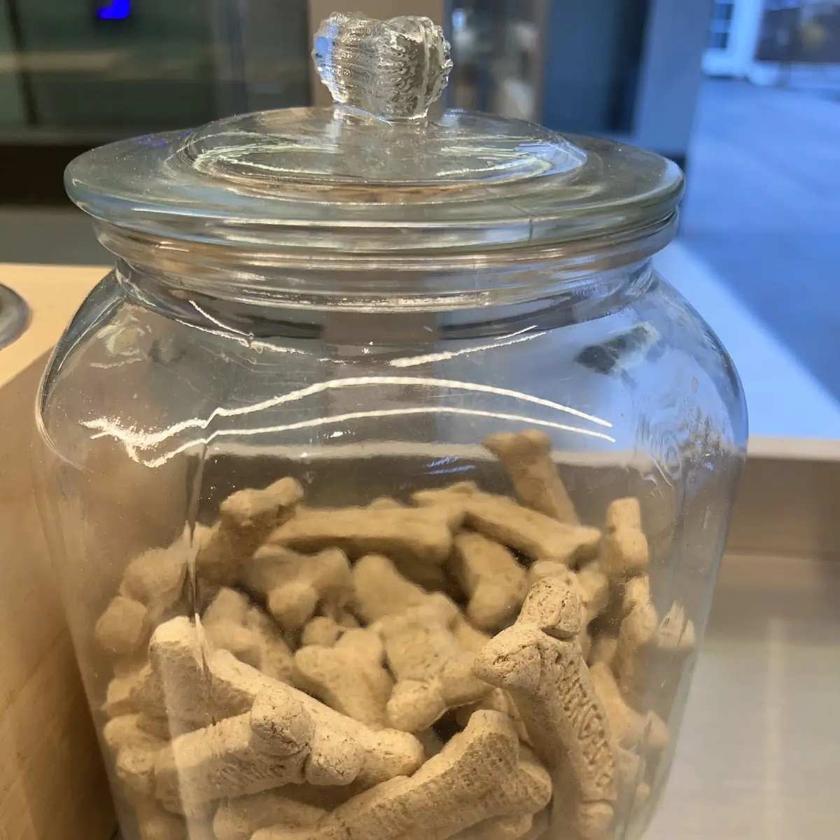 Dog Bones