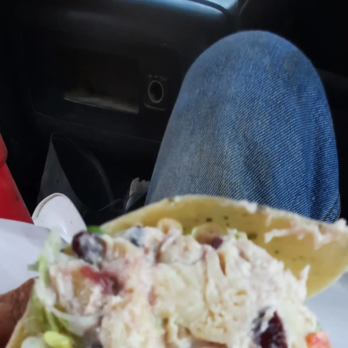 Cranberry Chicken Salad Wrap
