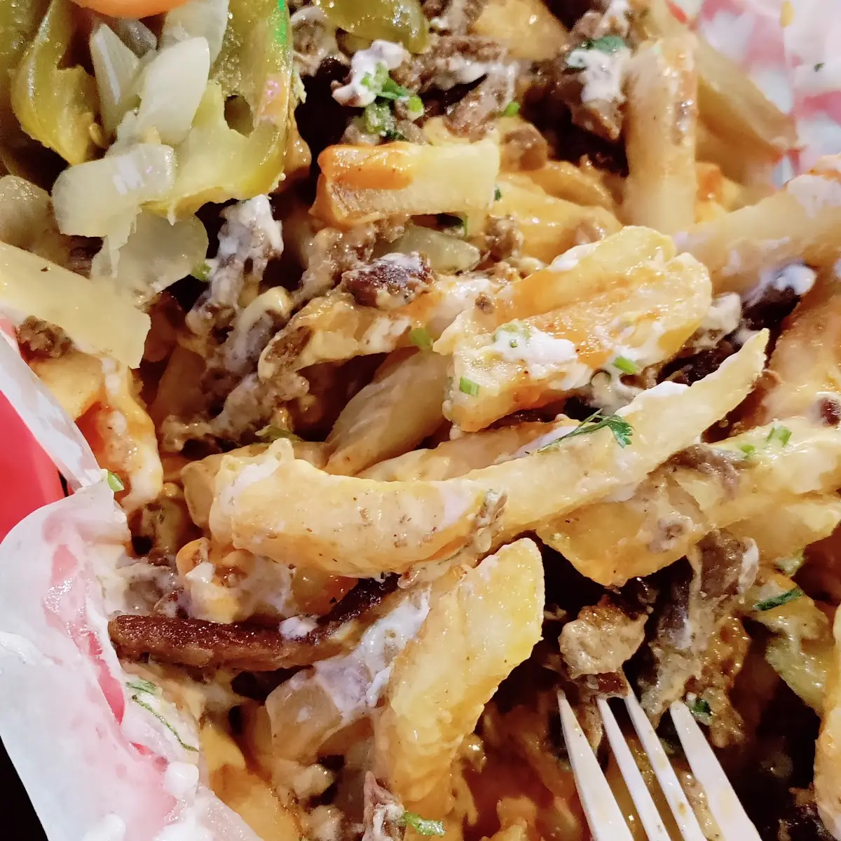 Carne Asada Fries