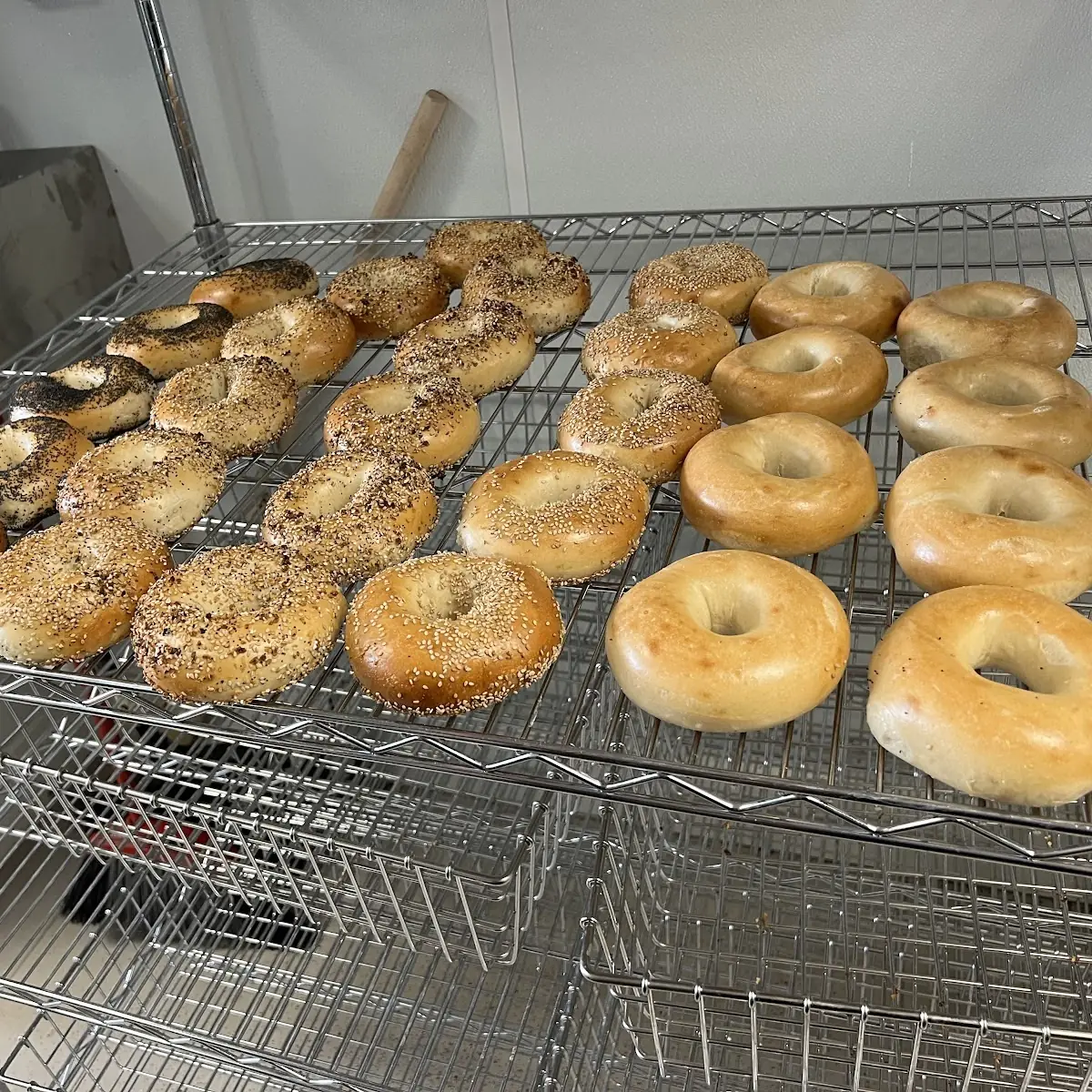 Dozen Bagels