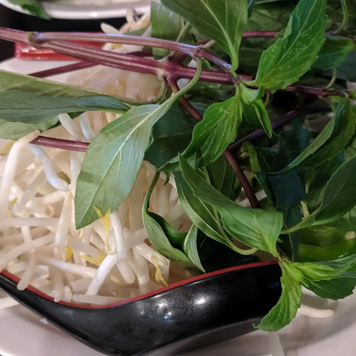 Thai Basil