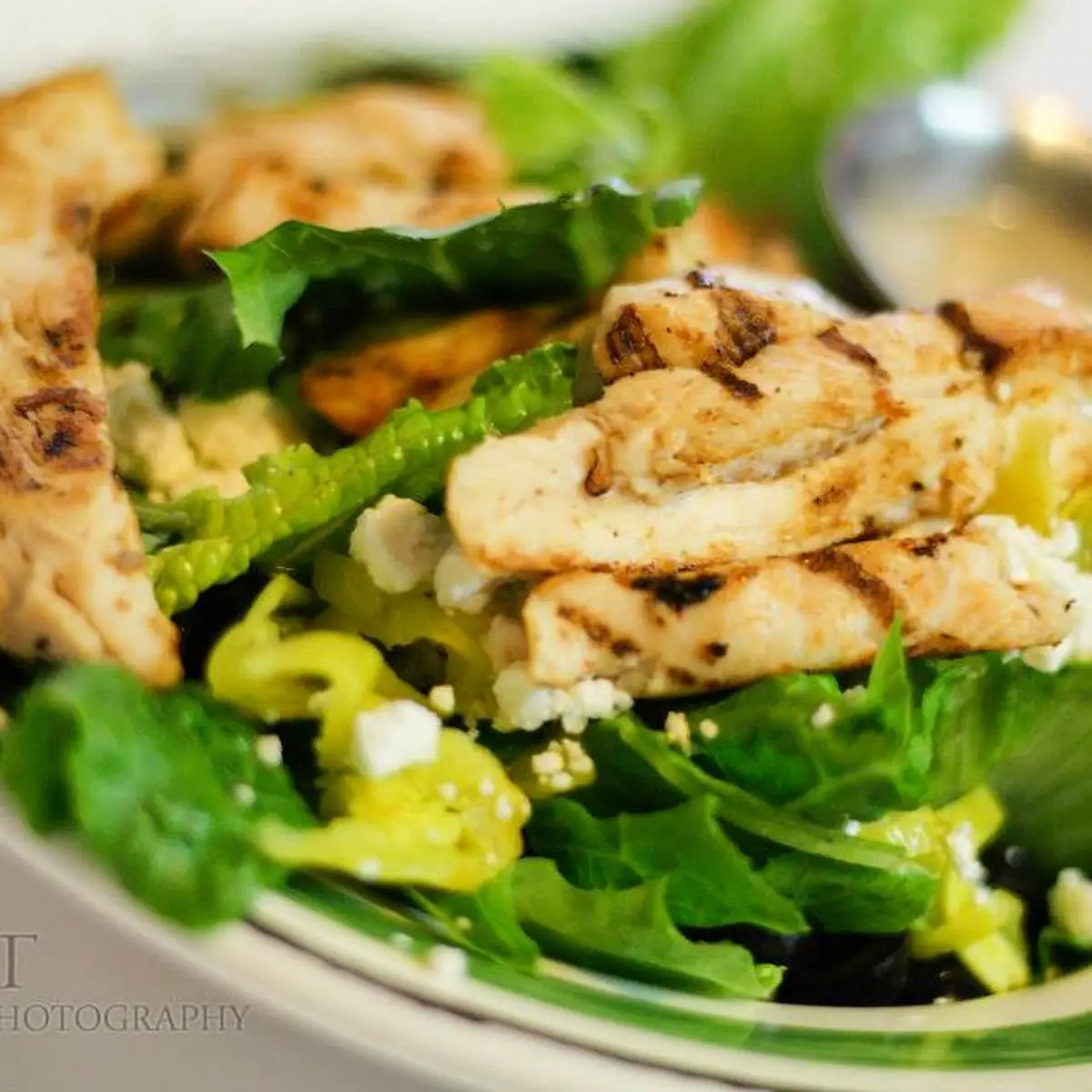 Chicken Salad