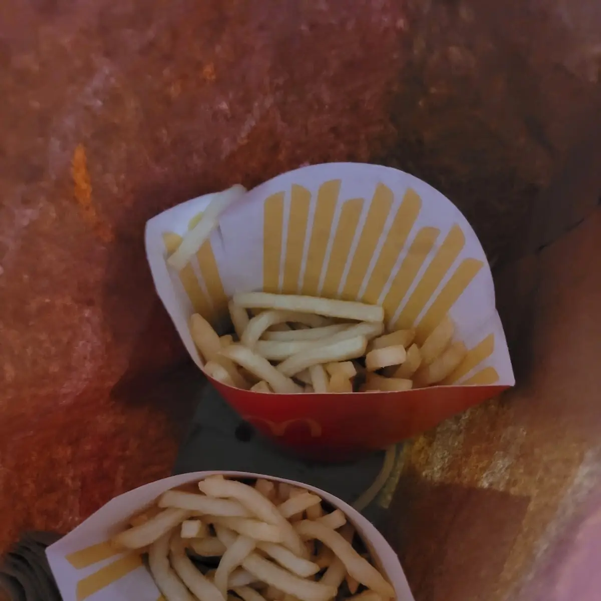 World Famous Fries