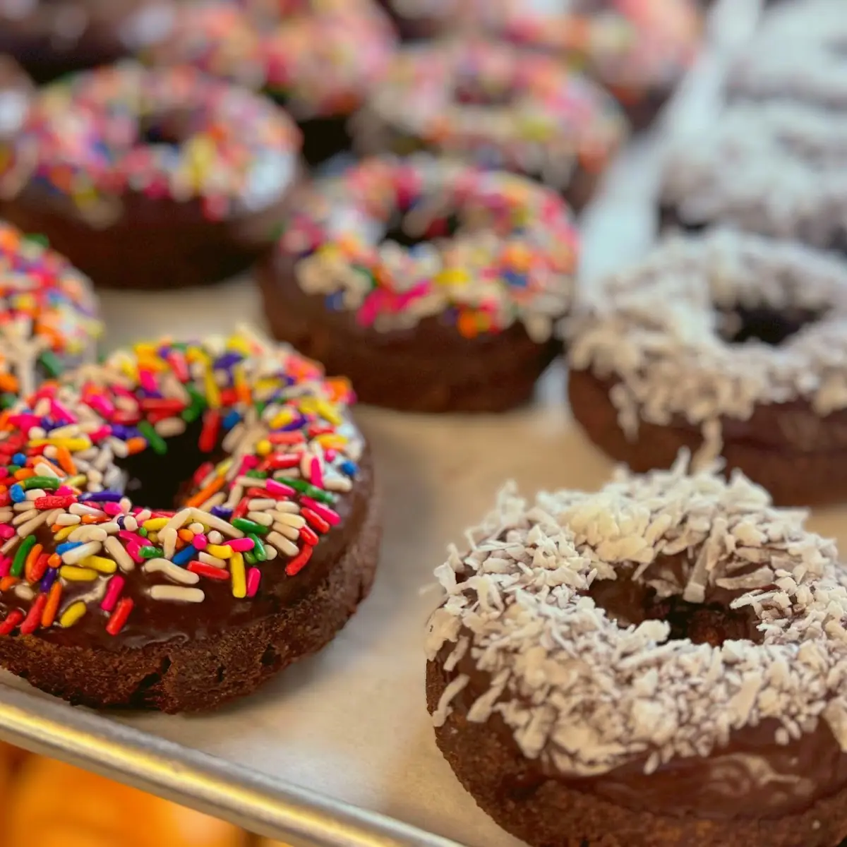 Donut
